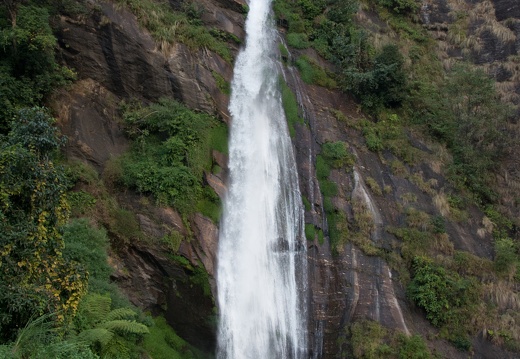 Asia